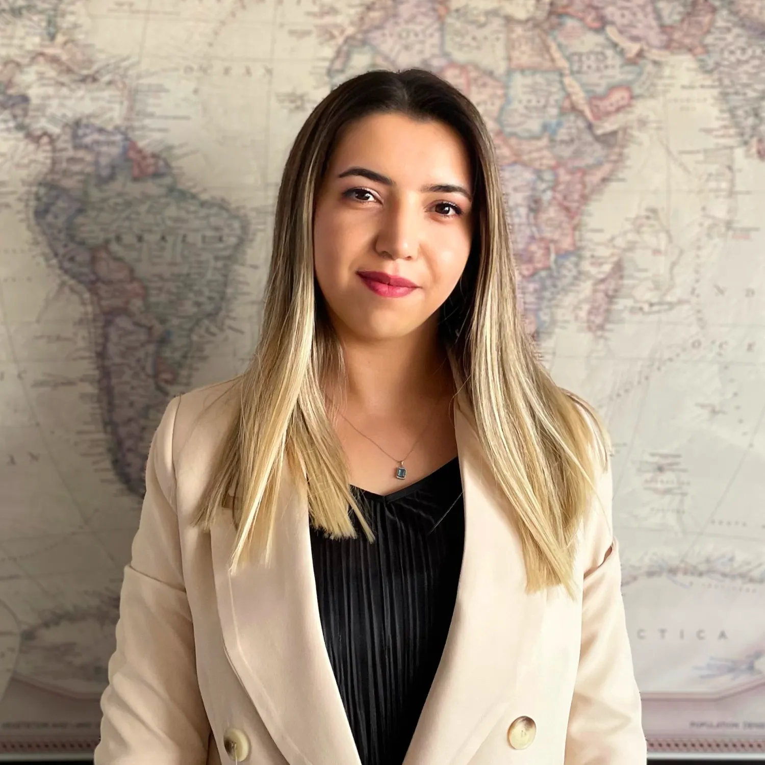 Ülkü Meraklı